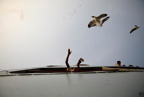 Một cậu bé cho chim mòng biển ăn trên phà ở sông Yangon, Rangoon, Myanmar.