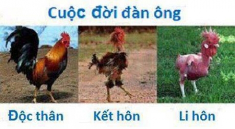 ‘Chuyện vợ chồng’ chỉ có ở Việt Nam