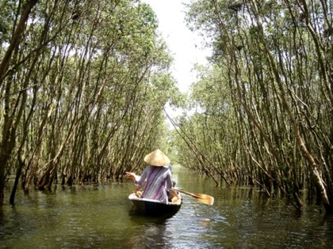 Săn lùng rùa, rắn để bán cho thương lái nước ngoài