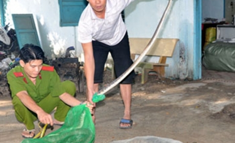 Săn lùng rùa, rắn để bán cho thương lái nước ngoài