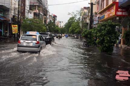 Hải Phòng ngập cục bộ, cây đổ đầy đường