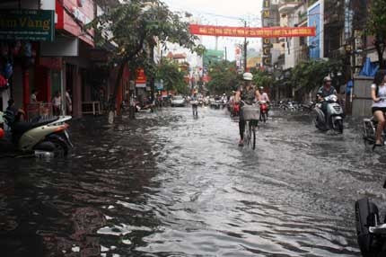 Hải Phòng ngập cục bộ, cây đổ đầy đường