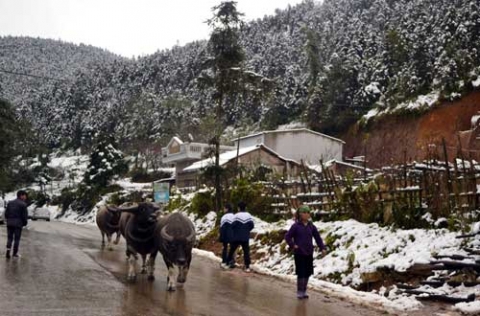 nguoidansapa