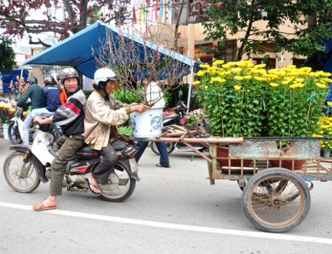 Kiếm bạc triệu mỗi ngày nhờ chở thuê hoa Tết