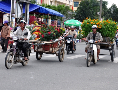 Kiếm bạc triệu mỗi ngày nhờ chở thuê hoa Tết