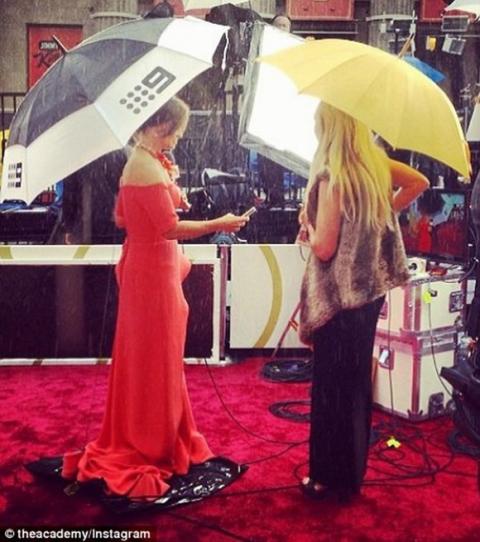 dan-sao-tren-tham-do-oscar2