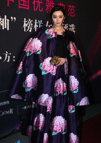 pham-bang-bang-dien-vay-hoa10