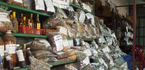 thuoc-nam-chua-benh-soi