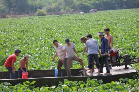 lat-ghe-tren-song-vam-co-dong-4