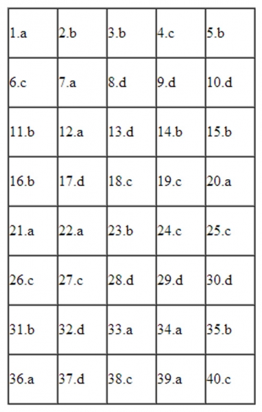 dap-an-hoa-258