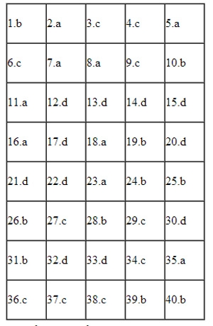 dap-an-sinh-146