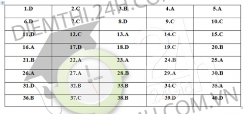 dap-an-sinh-385