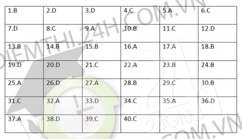 dap-an-sinh-624