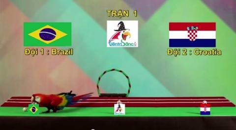 vet-du-doan-bong-da-142