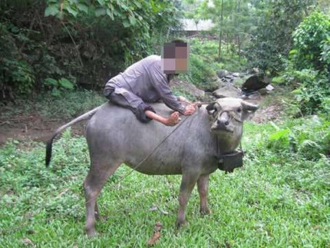 diep-vien-tat-nguyen-1