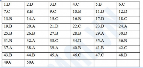 dap-an-sinh-426