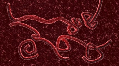 thuoc-chua-ebola-2