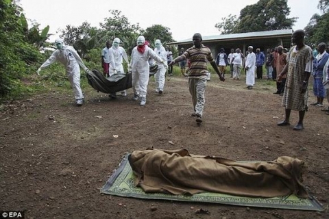 hanh-trinh-virus-ebola-pha-hoai-co-the-nguoi-trong-bo-hinh-am-anh14