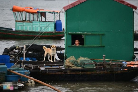 quang-canh-bao-so-3-9