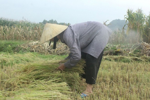 bo-me-cau-thu-cong-phuong