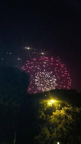 ban-phao-hoa-o-ha-noi-vn-165765