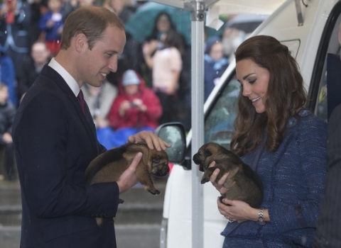 cong-nuong-Kate-Middleton-va-chong