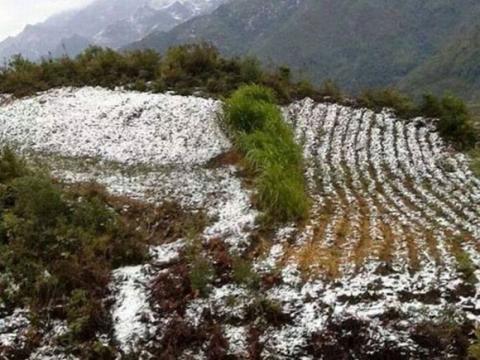 tuyet-roi-o-ha-giang-2