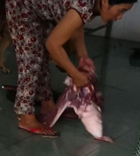 co-so-cung-cap-heo-thoi1