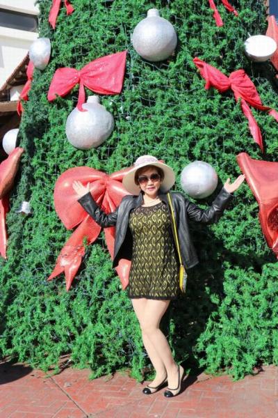 nguoi-tinh-vu-hoang-viet-3