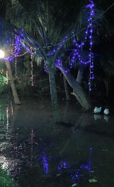 dam-cuoi-le-khanh-tuan-khai7