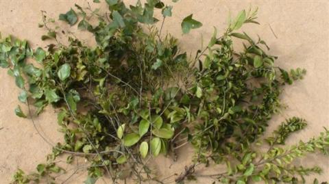 don-nam-moi-7-1420077958