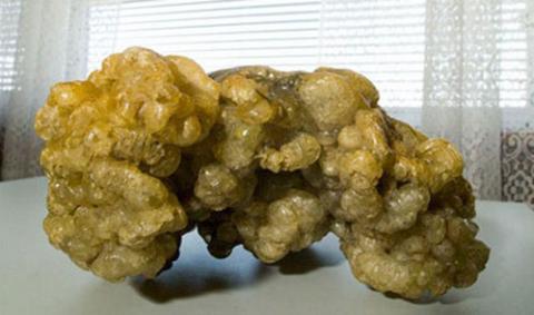 nhung-cach-lam-dep-tu-dong-vat-di-nhat-the-gioi-3