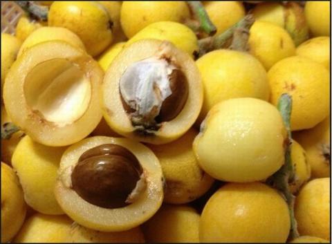 qua-ty-ba-1-1420119649