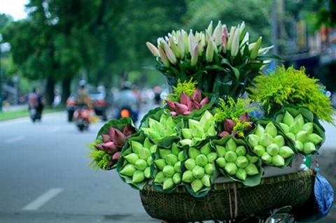 ha-noi-12-mua-hoa15-1420346799