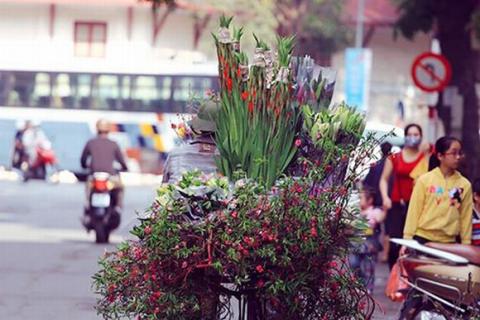 ha-noi-12-mua-hoa2-1420346798