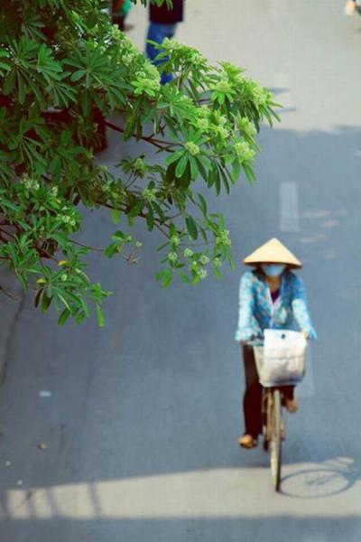 ha-noi-12-mua-hoa20-1420346799