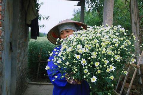 ha-noi-12-mua-hoa22-1420346799