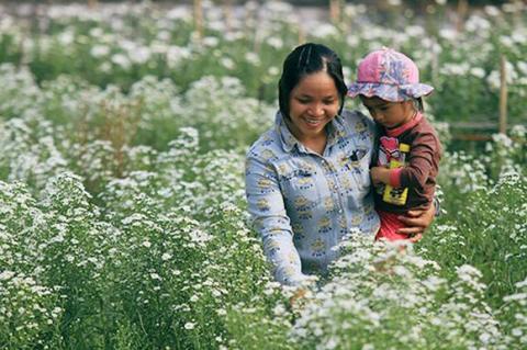 ha-noi-12-mua-hoa25-1420346799