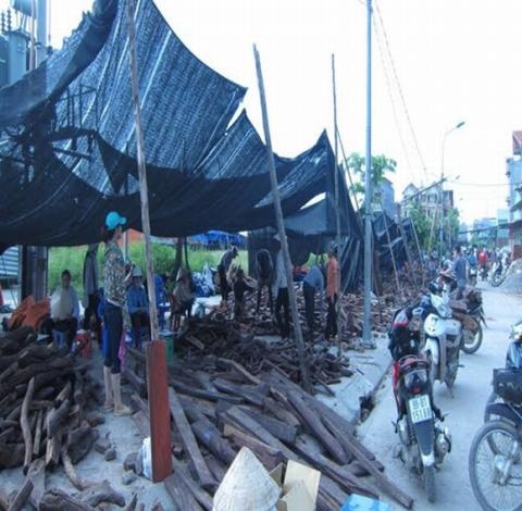 de-tu-minh-sam-1420777685