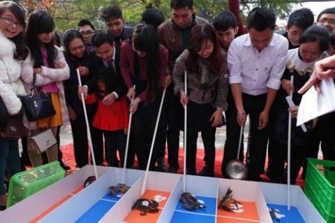 Độc đáo đua cua biển lần đầu tiên tổ chức ở Hà Nội - 5