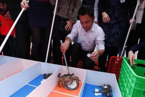 Độc đáo đua cua biển lần đầu tiên tổ chức ở Hà Nội - 4