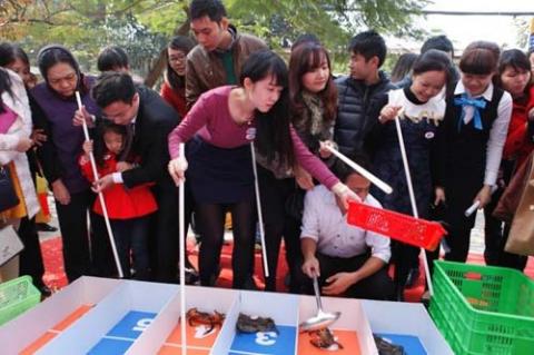 Độc đáo đua cua biển lần đầu tiên tổ chức ở Hà Nội - 1