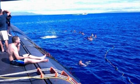 tau-ngam14-1421292629