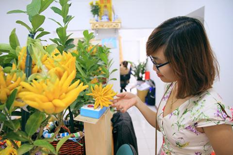 Phật thủ bon sai giá tiền triệu hút khách - 9