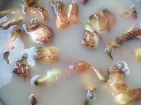 Cách muối dưa hành trắng giòn kiểu truyền thống - 1