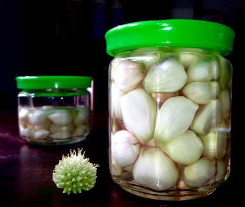 Cách muối dưa hành trắng giòn kiểu truyền thống - 6
