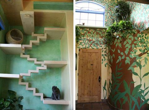 Chàng trai bỏ hơn 16 tỉ đồng xây ‘thiên đường’ cho mèo