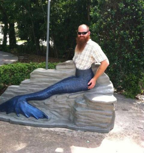 Bộ sưu tập hình ảnh khó đỡ trong cuộc sống