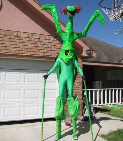 Bộ sưu tập hình ảnh khó đỡ trong cuộc sống