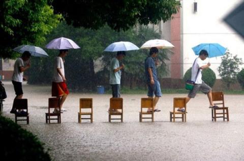 Bộ sưu tập hình ảnh khó đỡ trong cuộc sống